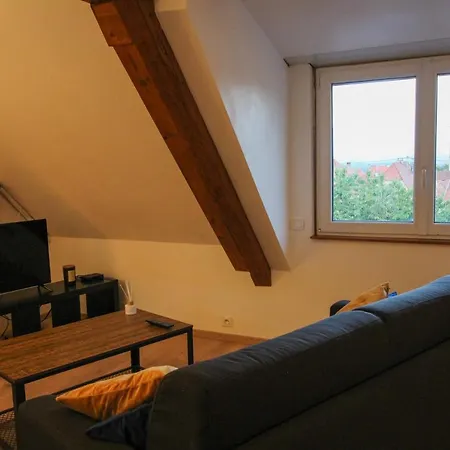Au Toit De L'alsace - Loft Au Pied Des Vosges *