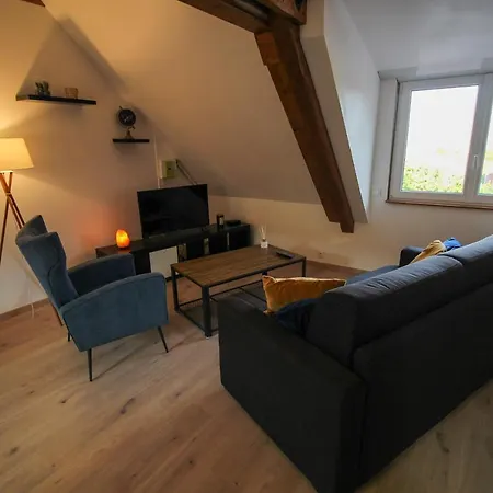 Au Toit De L'alsace - Loft Au Pied Des Vosges *