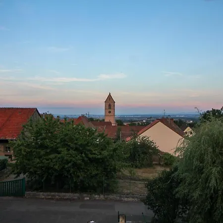 Lägenhet Au Toit De L'alsace - Loft Au Pied Des Vosges Wattwiller